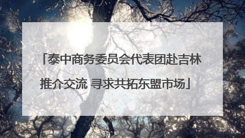 泰中商务委员会代表团赴吉林推介交流 寻求共拓东盟市场
